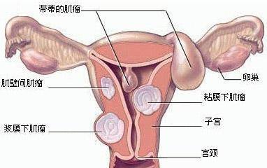 游戏专题 第202页