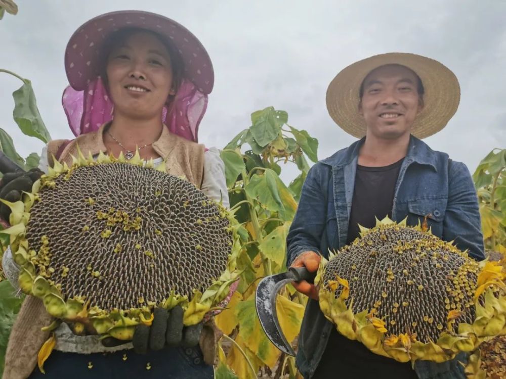 热点生活 第175页