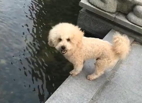 港澳新闻 第169页