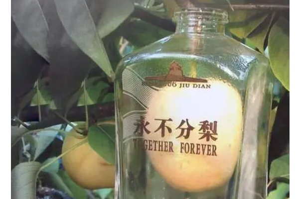 第844页