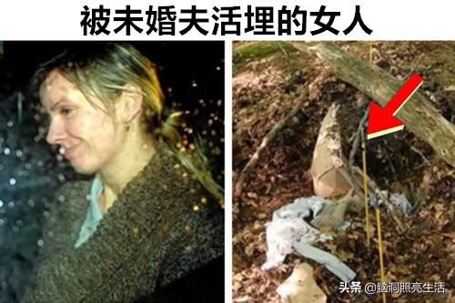 地方新闻 第110页