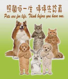 港澳新闻 第6页