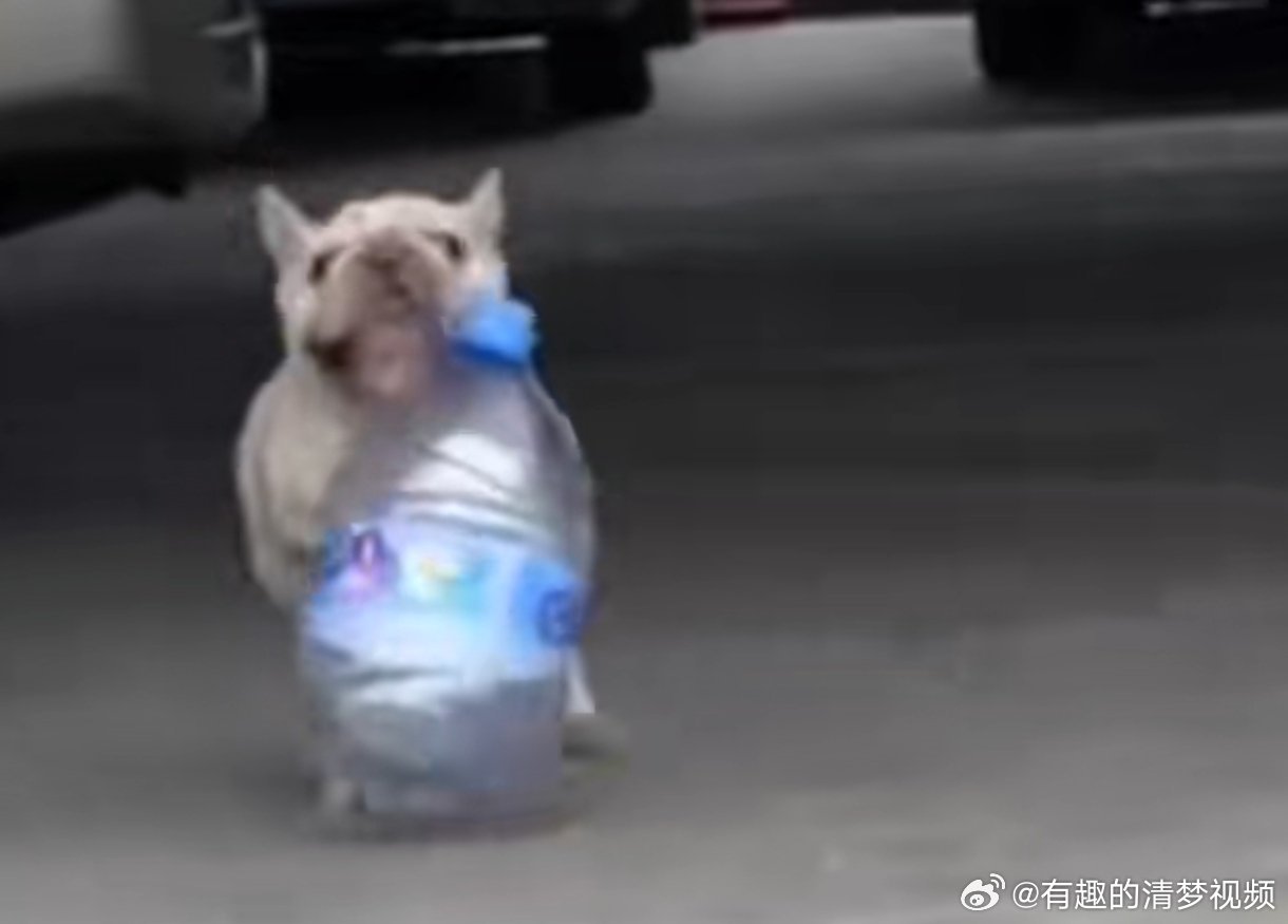 游戏专题 第4页